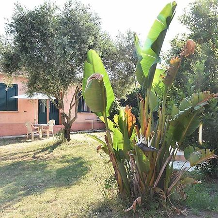 Résidence Terracorse Figari (Corsica) Exterior foto
