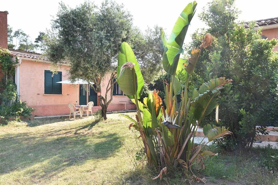 Résidence Terracorse Figari (Corsica) Exterior foto